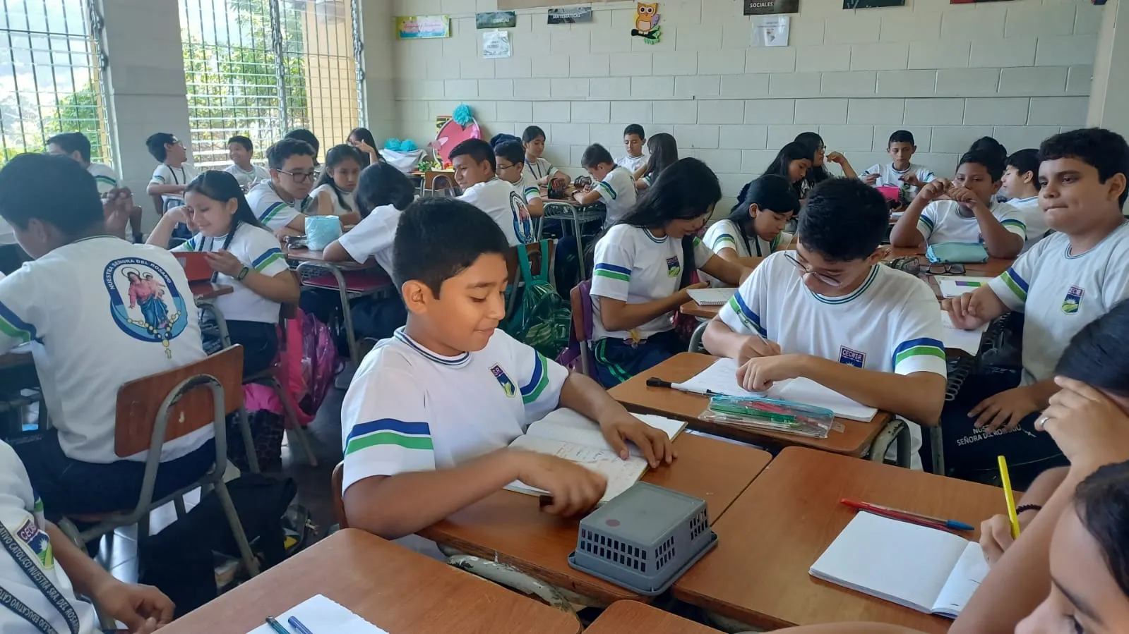Segundo Ciclo — imagen 2